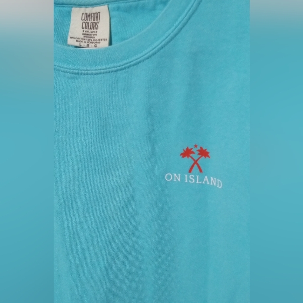 Comfort Colors Turquoise Crewneck Sweater - Picture 2 of 5